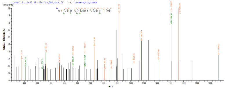 Based on the SEQUEST from database of Yeast host and target protein, the LC-MS/MS Analysis result of this product could indicate that this peptide derived from Yeast-expressed Escherichia coli hph.