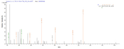 Based on the SEQUEST from database of Yeast host and target protein, the LC-MS/MS Analysis result of this product could indicate that this peptide derived from Yeast-expressed Escherichia coli hph.