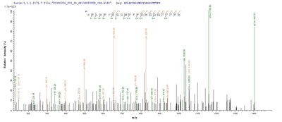 Based on the SEQUEST from database of Yeast host and target protein, the LC-MS/MS Analysis result of this product could indicate that this peptide derived from Yeast-expressed Enterobacteria phage T7 (Bacteriophage T7) 2.5.Recombinant Escherichia Phage T7 Single-Stranded Dna-Binding Protein (2.5) Protein (His)