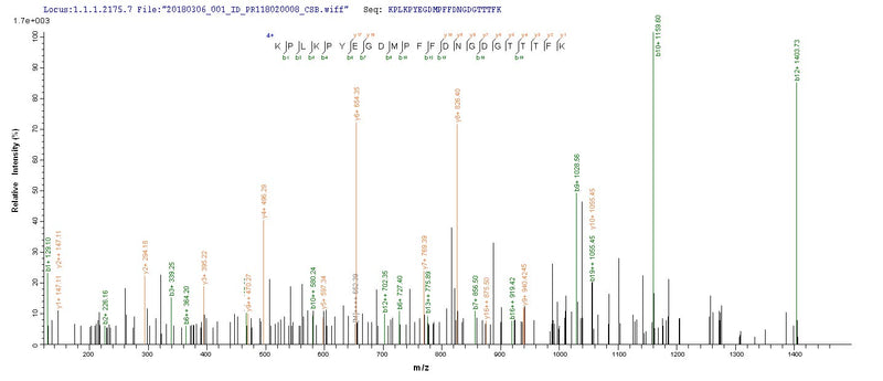 Based on the SEQUEST from database of Yeast host and target protein, the LC-MS/MS Analysis result of this product could indicate that this peptide derived from Yeast-expressed Enterobacteria phage T7 (Bacteriophage T7) 2.5.Recombinant Escherichia Phage T7 Single-Stranded Dna-Binding Protein (2.5) Protein (His)