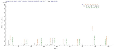 Based on the SEQUEST from database of Yeast host and target protein, the LC-MS/MS Analysis result of this product could indicate that this peptide derived from Yeast-expressed Enterobacteria phage T7 (Bacteriophage T7) 2.5.Recombinant Escherichia Phage T7 Single-Stranded Dna-Binding Protein (2.5) Protein (His)