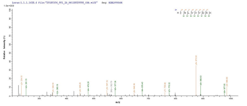 Based on the SEQUEST from database of Yeast host and target protein, the LC-MS/MS Analysis result of this product could indicate that this peptide derived from Yeast-expressed Enterobacteria phage T7 (Bacteriophage T7) 2.5.Recombinant Escherichia Phage T7 Single-Stranded Dna-Binding Protein (2.5) Protein (His)