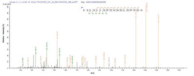 Based on the SEQUEST from database of Yeast host and target protein, the LC-MS/MS Analysis result of this product could indicate that this peptide derived from Yeast-expressed Rabies virus (strain India) (RABV) G.Recombinant Rabies Virus Glycoprotein (G) Protein (His)