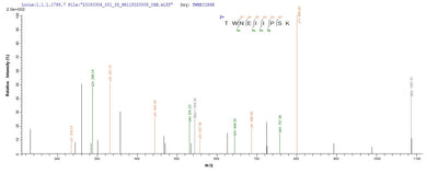 Based on the SEQUEST from database of Yeast host and target protein, the LC-MS/MS Analysis result of this product could indicate that this peptide derived from Yeast-expressed Rabies virus (strain India) (RABV) G.Recombinant Rabies Virus Glycoprotein (G) Protein (His)