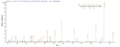 Based on the SEQUEST from database of Yeast host and target protein, the LC-MS/MS Analysis result of this product could indicate that this peptide derived from Yeast-expressed Escherichia coli O9:H4 (strain HS) lolA.Recombinant E.Coli Outer-Membrane Lipoprotein Carrier Protein (LOLA) Protein (His)