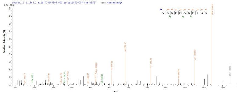 Based on the SEQUEST from database of Yeast host and target protein, the LC-MS/MS Analysis result of this product could indicate that this peptide derived from Yeast-expressed Escherichia coli O9:H4 (strain HS) lolA.Recombinant E.Coli Outer-Membrane Lipoprotein Carrier Protein (LOLA) Protein (His)