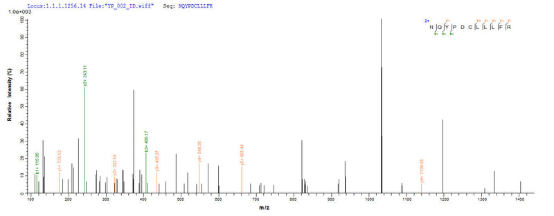 Based on the SEQUEST from database of Yeast host and target protein, the LC-MS/MS Analysis result of this product could indicate that this peptide derived from Yeast-expressed Aquifex aeolicus (strain VF5) mutS.Recombinant Aquifex Aeolicus Dna Mismatch Repair Protein Muts (MUTS) Protein (His)