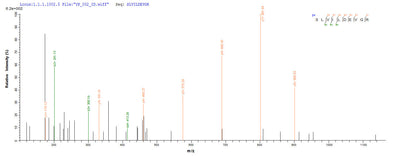 Based on the SEQUEST from database of Yeast host and target protein, the LC-MS/MS Analysis result of this product could indicate that this peptide derived from Yeast-expressed Aquifex aeolicus (strain VF5) mutS.Recombinant Aquifex Aeolicus Dna Mismatch Repair Protein Muts (MUTS) Protein (His)