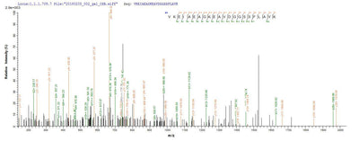 Based on the SEQUEST from database of Yeast host and target protein, the LC-MS/MS Analysis result of this product could indicate that this peptide derived from Yeast-expressed Arabidopsis thaliana (Mouse-ear cress) UGT71C1.Recombinant Arabidopsis Thaliana Flavonol 3-O-Glucosyltransferase Ugt71C1 (UGT71C1) Protein (His)