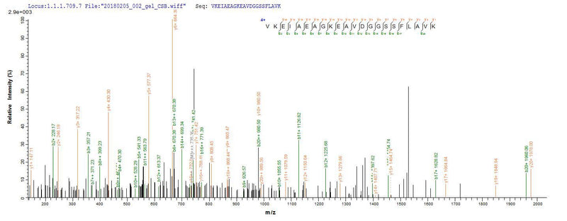 Based on the SEQUEST from database of Yeast host and target protein, the LC-MS/MS Analysis result of this product could indicate that this peptide derived from Yeast-expressed Arabidopsis thaliana (Mouse-ear cress) UGT71C1.Recombinant Arabidopsis Thaliana Flavonol 3-O-Glucosyltransferase Ugt71C1 (UGT71C1) Protein (His)