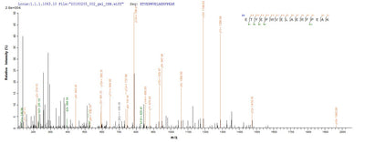 Based on the SEQUEST from database of Yeast host and target protein, the LC-MS/MS Analysis result of this product could indicate that this peptide derived from Yeast-expressed Arabidopsis thaliana (Mouse-ear cress) UGT71C1.Recombinant Arabidopsis Thaliana Flavonol 3-O-Glucosyltransferase Ugt71C1 (UGT71C1) Protein (His)