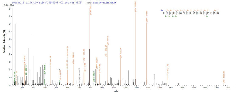 Based on the SEQUEST from database of Yeast host and target protein, the LC-MS/MS Analysis result of this product could indicate that this peptide derived from Yeast-expressed Arabidopsis thaliana (Mouse-ear cress) UGT71C1.Recombinant Arabidopsis Thaliana Flavonol 3-O-Glucosyltransferase Ugt71C1 (UGT71C1) Protein (His)
