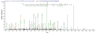 Based on the SEQUEST from database of Yeast host and target protein, the LC-MS/MS Analysis result of this product could indicate that this peptide derived from Yeast-expressed Escherichia coli (strain K12) rpiA.