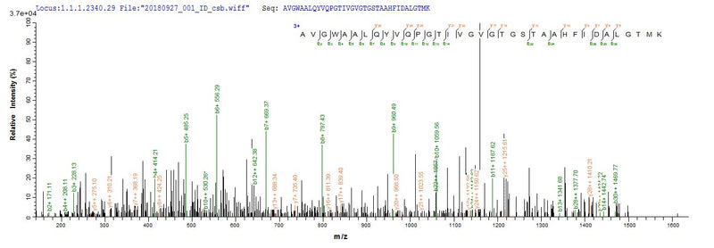 Based on the SEQUEST from database of Yeast host and target protein, the LC-MS/MS Analysis result of this product could indicate that this peptide derived from Yeast-expressed Escherichia coli (strain K12) rpiA.