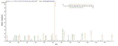 Based on the SEQUEST from database of Yeast host and target protein, the LC-MS/MS Analysis result of this product could indicate that this peptide derived from Yeast-expressed Homo sapiens (Human) PTPRN.Recombinant Human Receptor-Type Tyrosine-Protein Phosphatase-Like N (PTPRN) Protein (His)
