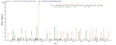Based on the SEQUEST from database of Yeast host and target protein, the LC-MS/MS Analysis result of this product could indicate that this peptide derived from Yeast-expressed Homo sapiens (Human) PTPRN.Recombinant Human Receptor-Type Tyrosine-Protein Phosphatase-Like N (PTPRN) Protein (His)