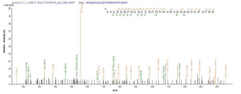 Based on the SEQUEST from database of Yeast host and target protein, the LC-MS/MS Analysis result of this product could indicate that this peptide derived from Yeast-expressed Homo sapiens (Human) PTPRN.Recombinant Human Receptor-Type Tyrosine-Protein Phosphatase-Like N (PTPRN) Protein (His)