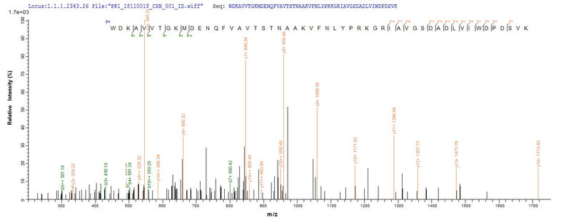 Based on the SEQUEST from database of Yeast host and target protein, the LC-MS/MS Analysis result of this product could indicate that this peptide derived from Yeast-expressed Homo sapiens (Human) DPYSL2.Recombinant Human Dihydropyrimidinase-Related Protein 2 (DPYSL2) Protein (His)