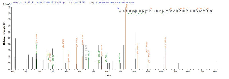Based on the SEQUEST from database of Yeast host and target protein, the LC-MS/MS Analysis result of this product could indicate that this peptide derived from Yeast-expressed Homo sapiens (Human) ITIH4.Recombinant Human Inter-Alpha-Trypsin Inhibitor Heavy Chain H4 (ITIH4) Protein (His)