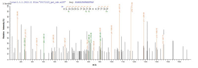 Based on the SEQUEST from database of Yeast host and target protein, the LC-MS/MS Analysis result of this product could indicate that this peptide derived from Yeast-expressed Homo sapiens (Human) RCN1.Recombinant Human Reticulocalbin-1 (RCN1) Protein (His)