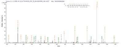 Based on the SEQUEST from database of Yeast host and target protein, the LC-MS/MS Analysis result of this product could indicate that this peptide derived from Yeast-expressed Homo sapiens (Human) FCN2.Recombinant Human Ficolin-2 (FCN2) Protein (His)