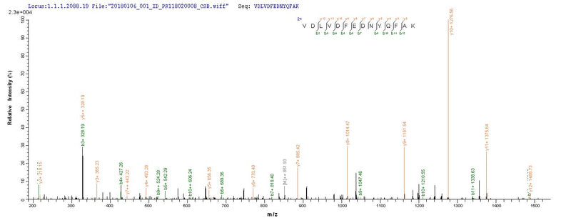 Based on the SEQUEST from database of Yeast host and target protein, the LC-MS/MS Analysis result of this product could indicate that this peptide derived from Yeast-expressed Homo sapiens (Human) FCN2.Recombinant Human Ficolin-2 (FCN2) Protein (His)