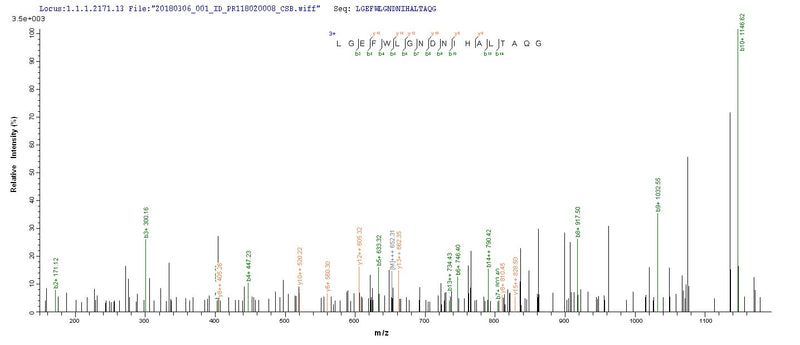 Based on the SEQUEST from database of Yeast host and target protein, the LC-MS/MS Analysis result of this product could indicate that this peptide derived from Yeast-expressed Homo sapiens (Human) FCN2.Recombinant Human Ficolin-2 (FCN2) Protein (His)
