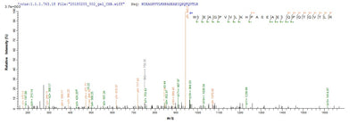 Based on the SEQUEST from database of Yeast host and target protein, the LC-MS/MS Analysis result of this product could indicate that this peptide derived from Yeast-expressed Homo sapiens (Human) PTK7.