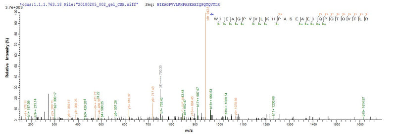 Based on the SEQUEST from database of Yeast host and target protein, the LC-MS/MS Analysis result of this product could indicate that this peptide derived from Yeast-expressed Homo sapiens (Human) PTK7.