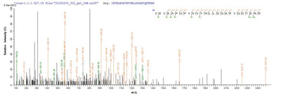 Based on the SEQUEST from database of Yeast host and target protein, the LC-MS/MS Analysis result of this product could indicate that this peptide derived from Yeast-expressed Homo sapiens (Human) PTK7.
