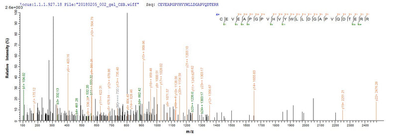 Based on the SEQUEST from database of Yeast host and target protein, the LC-MS/MS Analysis result of this product could indicate that this peptide derived from Yeast-expressed Homo sapiens (Human) PTK7.