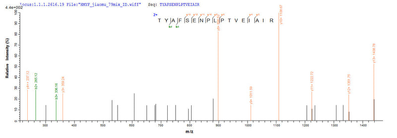 Based on the SEQUEST from database of Yeast host and target protein, the LC-MS/MS Analysis result of this product could indicate that this peptide derived from Yeast-expressed Homo sapiens (Human) SMARCB1.Recombinant Human Swi/Snf-Related Matrix-Associated Actin-Dependent Regulator Of Chromatin Subfamily B Member 1 (SMARCB1) Protein (His)