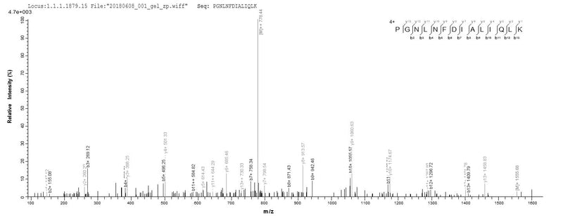 Based on the SEQUEST from database of Yeast host and target protein, the LC-MS/MS Analysis result of this product could indicate that this peptide derived from Yeast-expressed Carcinoscorpius rotundicauda (Mangrove horseshoe crab) (Limulus rotundicauda) N/A.Recombinant Carcinoscorpius Rotundicauda Limulus Clotting Factor C (FC) Protein (His)