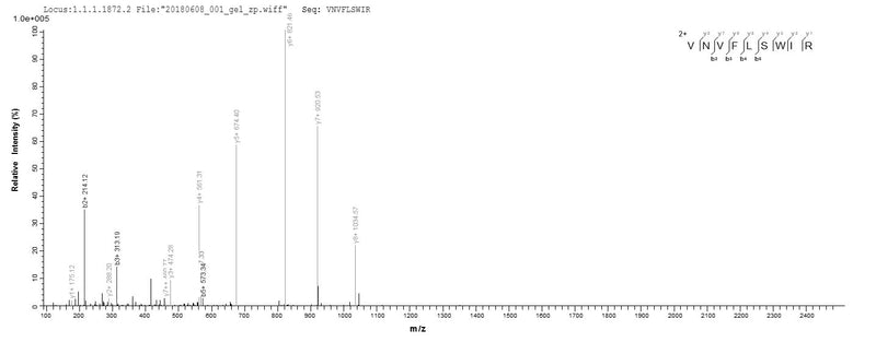 Based on the SEQUEST from database of Yeast host and target protein, the LC-MS/MS Analysis result of this product could indicate that this peptide derived from Yeast-expressed Carcinoscorpius rotundicauda (Mangrove horseshoe crab) (Limulus rotundicauda) N/A.Recombinant Carcinoscorpius Rotundicauda Limulus Clotting Factor C (FC) Protein (His)