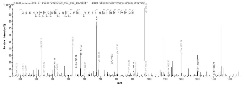 Based on the SEQUEST from database of Yeast host and target protein, the LC-MS/MS Analysis result of this product could indicate that this peptide derived from Yeast-expressed Bos taurus (Bovine) N/A.Recombinant Bovine Pregnancy-Associated Glycoprotein 1 (PAG1) Protein (Myc&His)