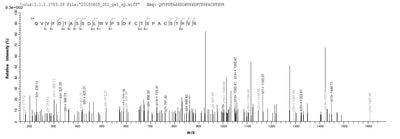 Based on the SEQUEST from database of Yeast host and target protein, the LC-MS/MS Analysis result of this product could indicate that this peptide derived from Yeast-expressed Bos taurus (Bovine) N/A.Recombinant Bovine Pregnancy-Associated Glycoprotein 1 (PAG1) Protein (Myc&His)