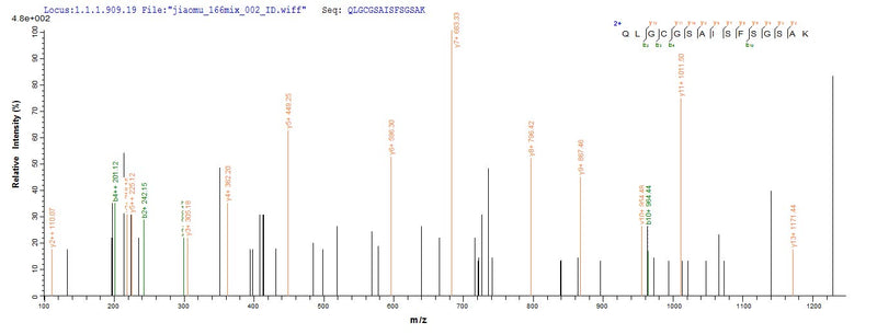 Based on the SEQUEST from database of Yeast host and target protein, the LC-MS/MS Analysis result of this product could indicate that this peptide derived from Yeast-expressed Mus musculus (Mouse) Cd163.
