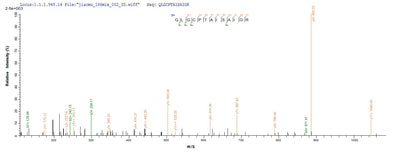 Based on the SEQUEST from database of Yeast host and target protein, the LC-MS/MS Analysis result of this product could indicate that this peptide derived from Yeast-expressed Mus musculus (Mouse) Cd163.