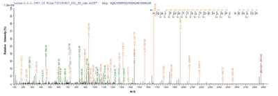 Based on the SEQUEST from database of Yeast host and target protein, the LC-MS/MS Analysis result of this product could indicate that this peptide derived from Yeast-expressed Mus musculus (Mouse) Ripk1.Recombinant Mouse Receptor-Interacting Serine/Threonine-Protein Kinase 1 (RIPK1) Protein (His-SUMOSTAR)