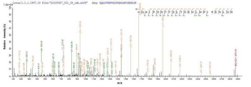 Based on the SEQUEST from database of Yeast host and target protein, the LC-MS/MS Analysis result of this product could indicate that this peptide derived from Yeast-expressed Mus musculus (Mouse) Ripk1.Recombinant Mouse Receptor-Interacting Serine/Threonine-Protein Kinase 1 (RIPK1) Protein (His-SUMOSTAR)