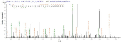 Based on the SEQUEST from database of Yeast host and target protein, the LC-MS/MS Analysis result of this product could indicate that this peptide derived from Yeast-expressed Mus musculus (Mouse) Ripk1.Recombinant Mouse Receptor-Interacting Serine/Threonine-Protein Kinase 1 (RIPK1) Protein (His-SUMOSTAR)