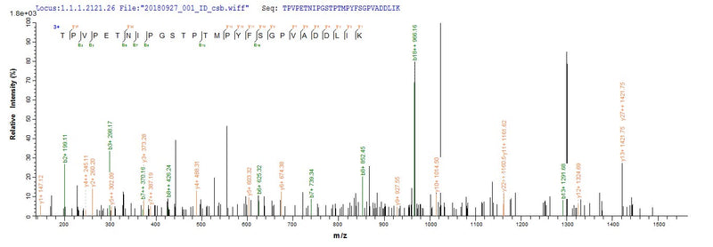 Based on the SEQUEST from database of Yeast host and target protein, the LC-MS/MS Analysis result of this product could indicate that this peptide derived from Yeast-expressed Mus musculus (Mouse) Ripk1.Recombinant Mouse Receptor-Interacting Serine/Threonine-Protein Kinase 1 (RIPK1) Protein (His-SUMOSTAR)