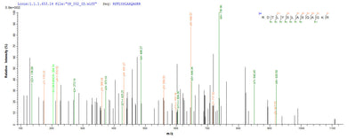 Based on the SEQUEST from database of Yeast host and target protein, the LC-MS/MS Analysis result of this product could indicate that this peptide derived from Yeast-expressed Hypocrea rufa (Trichoderma viride) 6GAL.Recombinant Hypocrea Rufa Endo-Beta-1,6-Galactanase (6GAL) Protein (His)