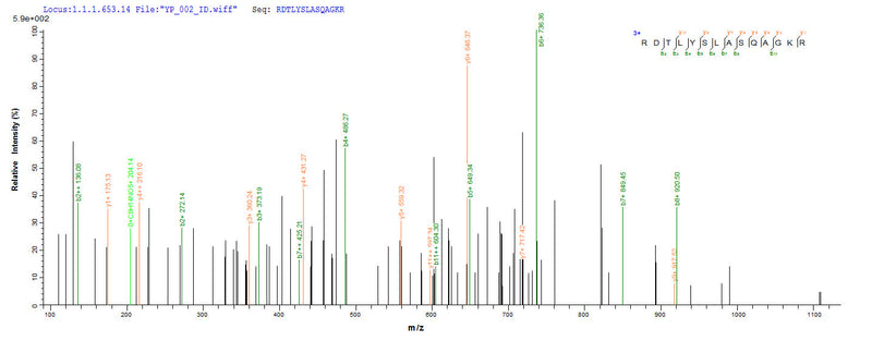 Based on the SEQUEST from database of Yeast host and target protein, the LC-MS/MS Analysis result of this product could indicate that this peptide derived from Yeast-expressed Hypocrea rufa (Trichoderma viride) 6GAL.Recombinant Hypocrea Rufa Endo-Beta-1,6-Galactanase (6GAL) Protein (His)