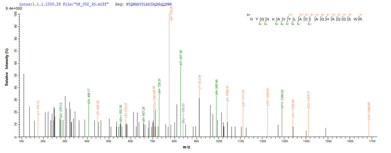 Based on the SEQUEST from database of Yeast host and target protein, the LC-MS/MS Analysis result of this product could indicate that this peptide derived from Yeast-expressed Hypocrea rufa (Trichoderma viride) 6GAL.Recombinant Hypocrea Rufa Endo-Beta-1,6-Galactanase (6GAL) Protein (His)