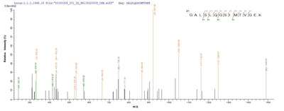 Based on the SEQUEST from database of Yeast host and target protein, the LC-MS/MS Analysis result of this product could indicate that this peptide derived from Yeast-expressed Homo sapiens (Human) SFTPA1.Recombinant Human Pulmonary Surfactant-Associated Protein A1 (SFTPA1) Protein (His)
