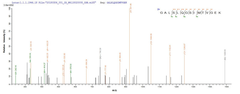 Based on the SEQUEST from database of Yeast host and target protein, the LC-MS/MS Analysis result of this product could indicate that this peptide derived from Yeast-expressed Homo sapiens (Human) SFTPA1.Recombinant Human Pulmonary Surfactant-Associated Protein A1 (SFTPA1) Protein (His)
