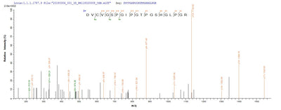 Based on the SEQUEST from database of Yeast host and target protein, the LC-MS/MS Analysis result of this product could indicate that this peptide derived from Yeast-expressed Homo sapiens (Human) SFTPA1.Recombinant Human Pulmonary Surfactant-Associated Protein A1 (SFTPA1) Protein (His)
