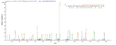 Based on the SEQUEST from database of Yeast host and target protein, the LC-MS/MS Analysis result of this product could indicate that this peptide derived from Yeast-expressed Homo sapiens (Human) ZG16B.Recombinant Human Zymogen Granule Protein 16 Homolog B (ZG16B) Protein (His)