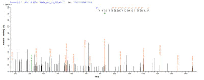 Based on the SEQUEST from database of Yeast host and target protein, the LC-MS/MS Analysis result of this product could indicate that this peptide derived from Yeast-expressed Homo sapiens (Human) ZG16B.Recombinant Human Zymogen Granule Protein 16 Homolog B (ZG16B) Protein (His)